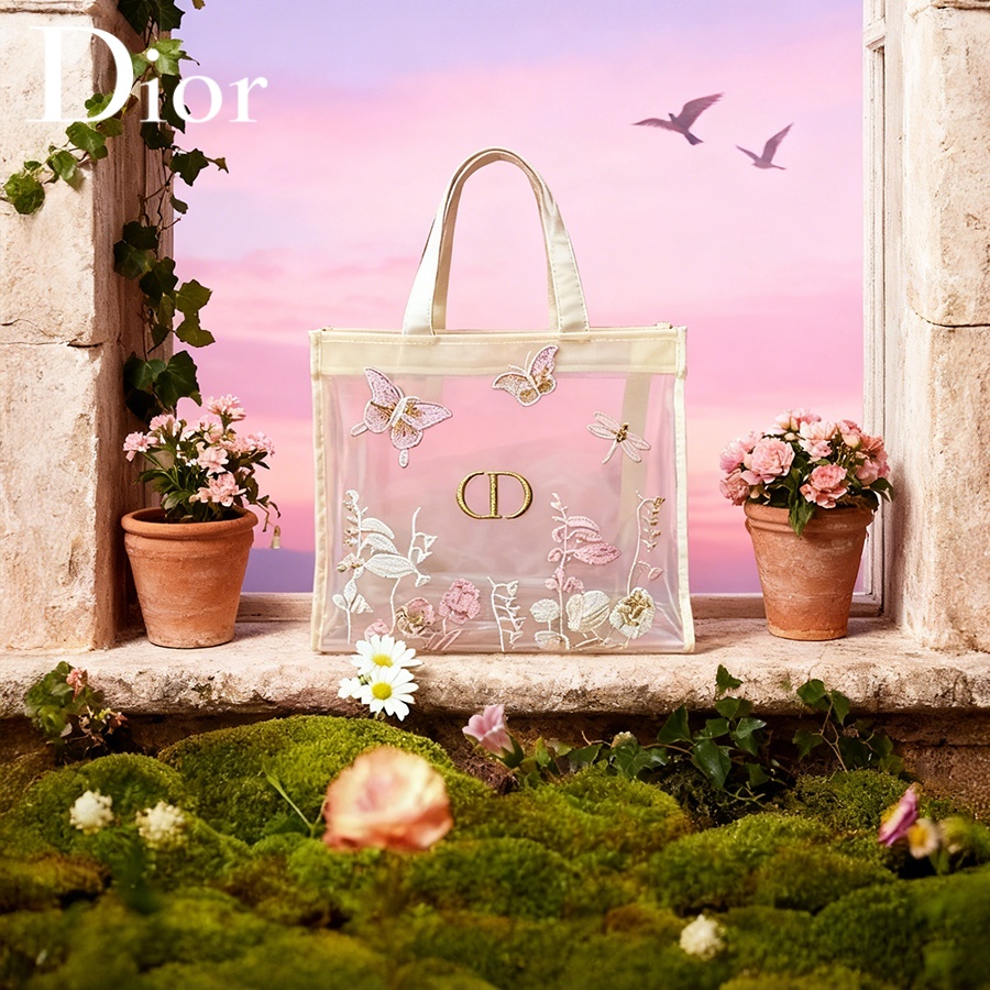 Bolsa Christian Dior Dior's Ba - Women Accessories Organizer avaliação e preço